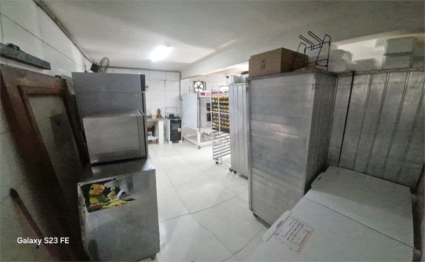 Foto REO1108302