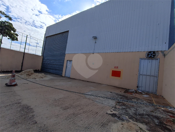 Foto REO1108309