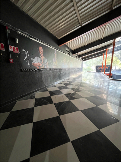 Foto REO1108312