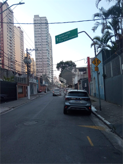 Foto REO1108323