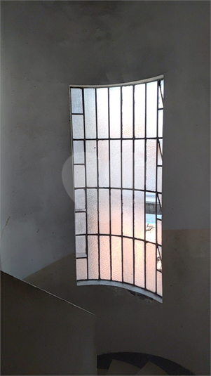 Foto REO1108325
