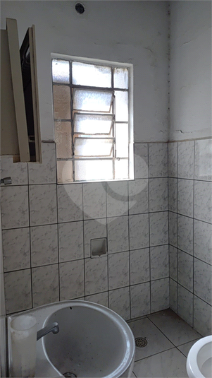 Foto REO1108325