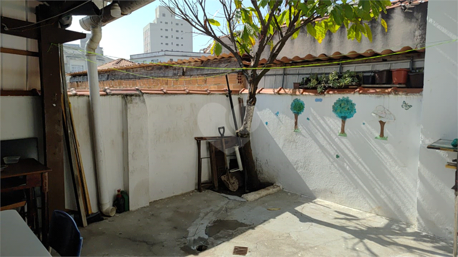 Foto REO1108325