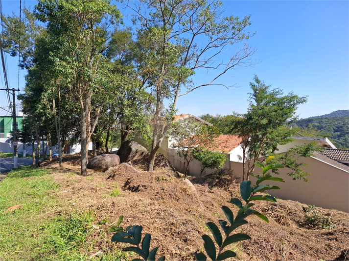 Foto REO1108326