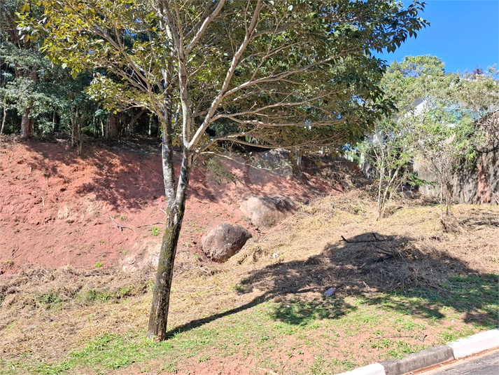 Foto REO1108326