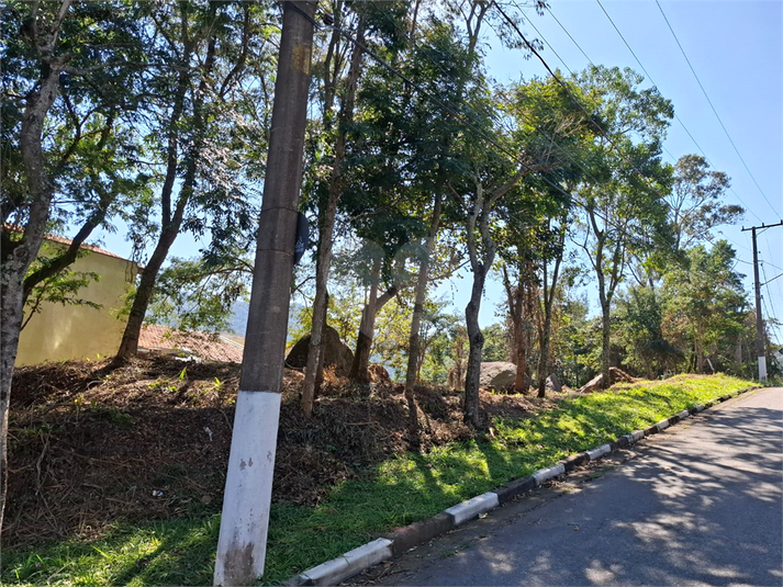 Foto REO1108326
