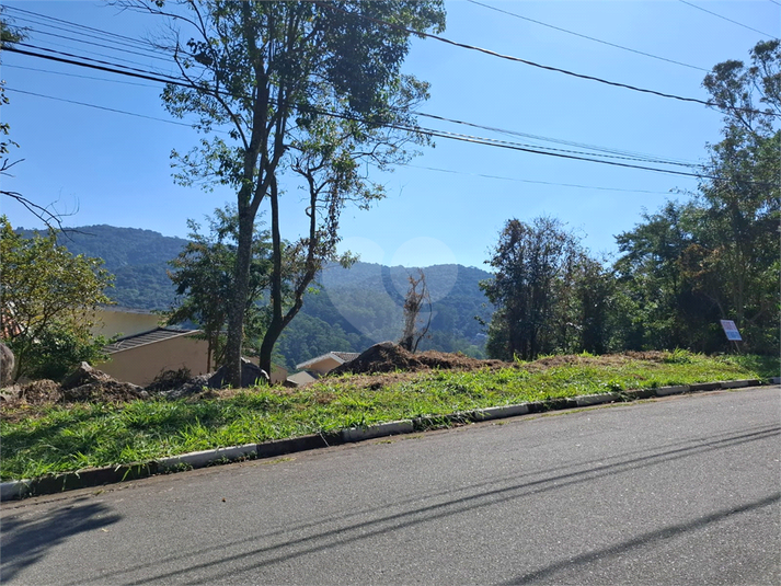 Foto REO1108326