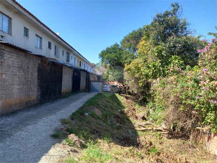 Foto REO1108337