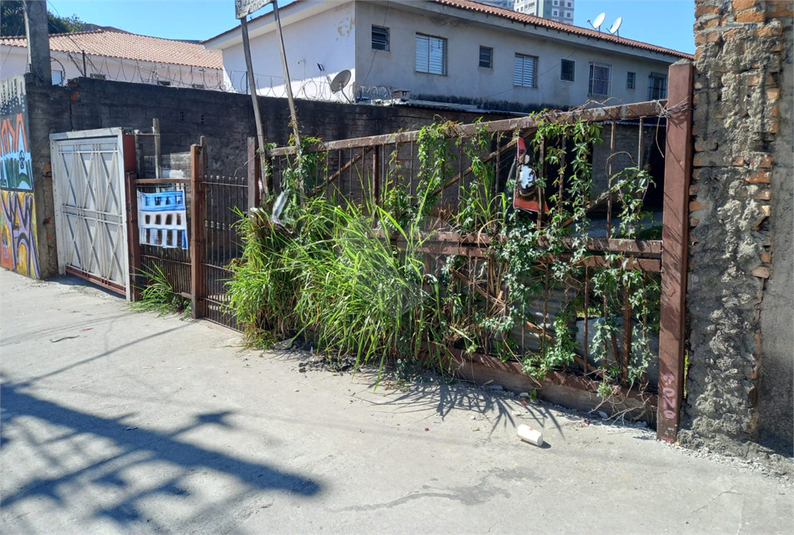 Foto REO1108337