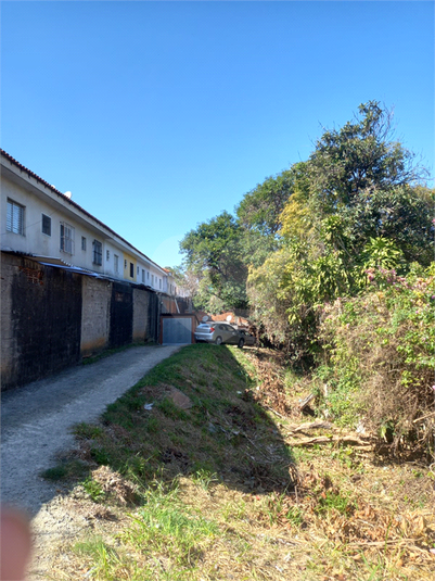 Foto REO1108337