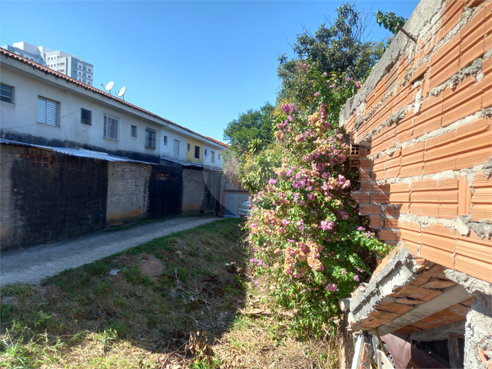 Foto REO1108337