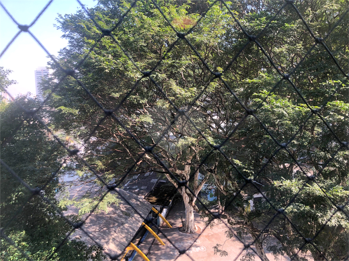 Foto REO1108354