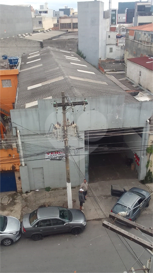 Foto REO1108358