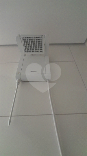Foto REO1108367