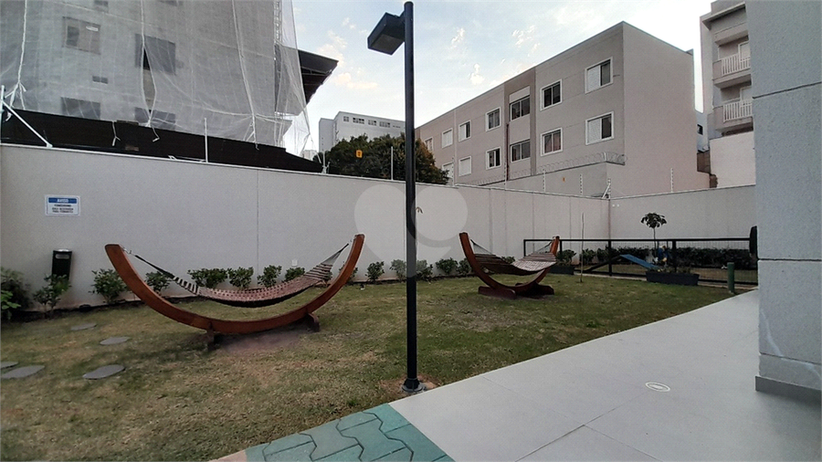 Foto REO1108367