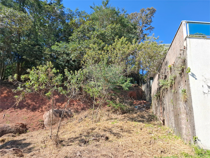 Foto REO1108372