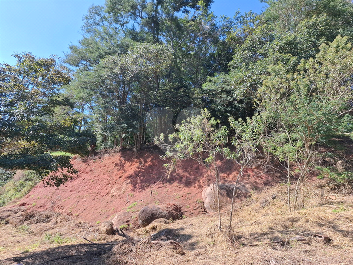Foto REO1108372