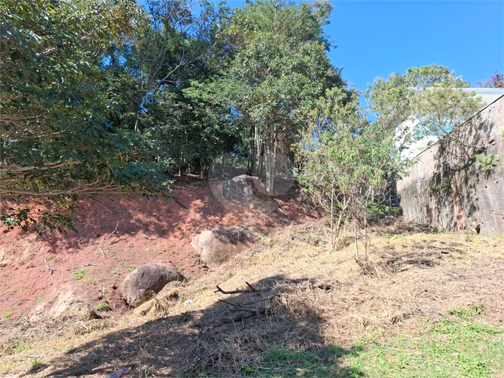 Foto REO1108372