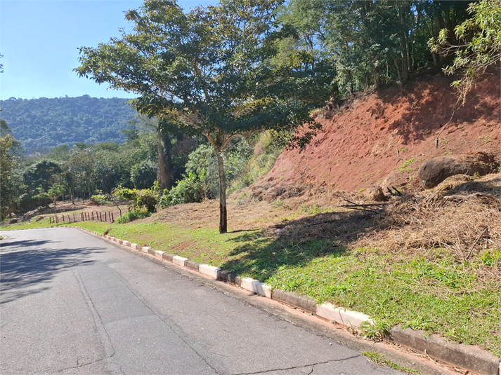 Foto REO1108372