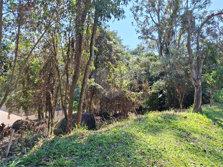 Foto REO1108372