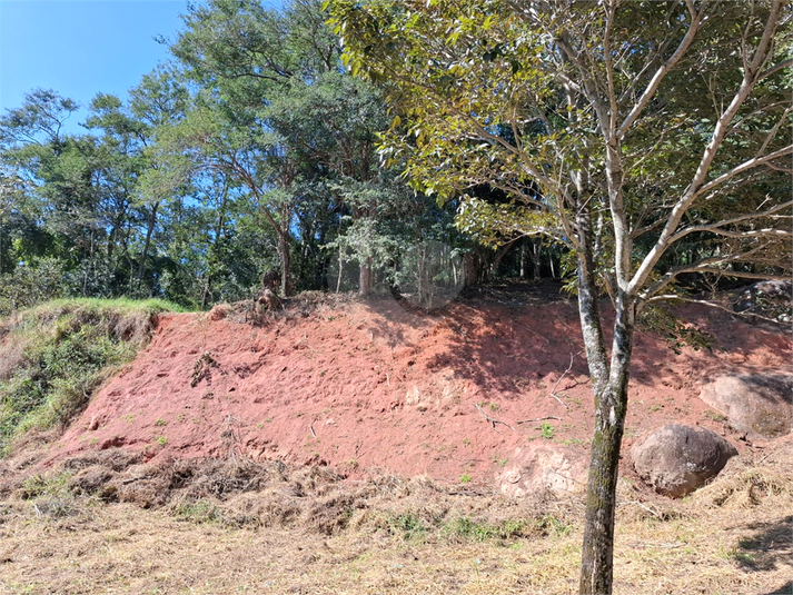 Foto REO1108372