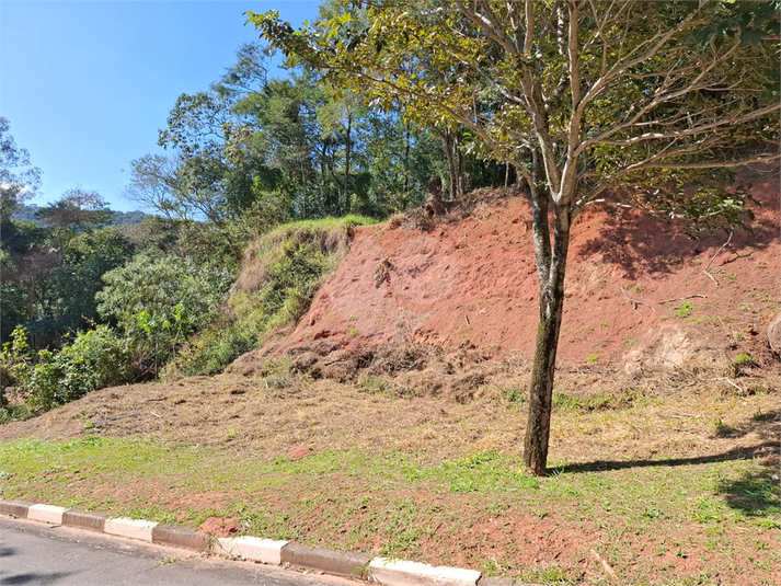 Foto REO1108372