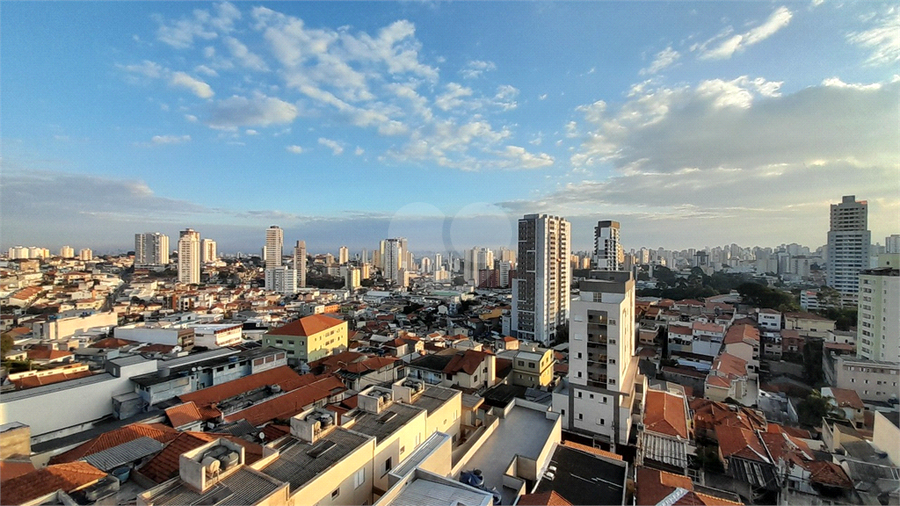 Foto REO1108379