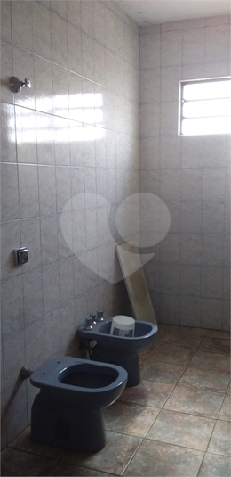 Foto REO1108381