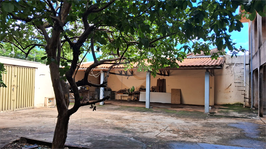 Foto REO1108381