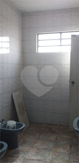 Foto REO1108381