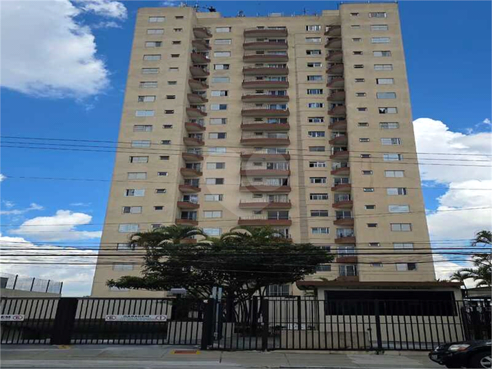 Foto REO1108389