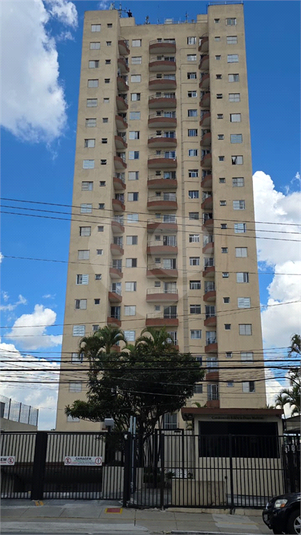 Foto REO1108389