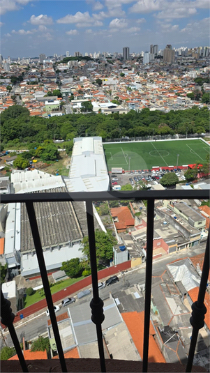 Foto REO1108389