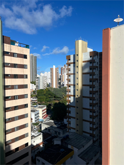 Foto REO1108393