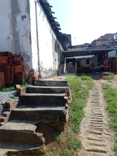 Foto REO1108396