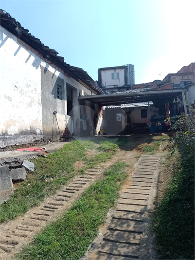 Foto REO1108396
