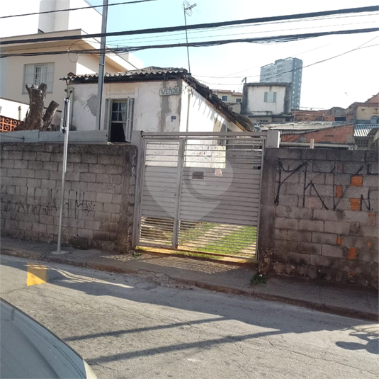 Foto REO1108396