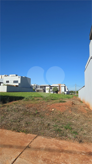 Foto REO1108431