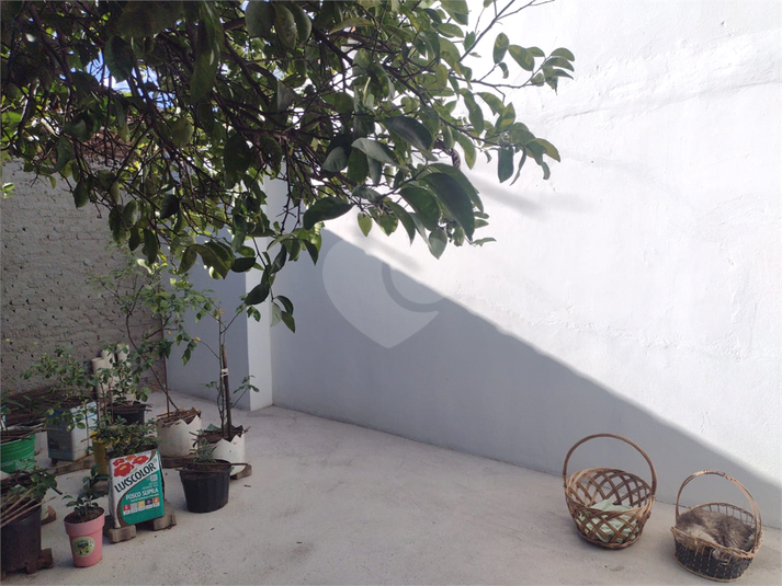 Foto REO1108442