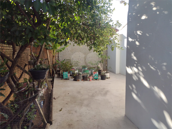Foto REO1108442