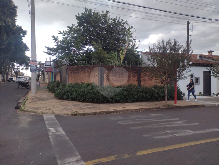 Foto REO1108442
