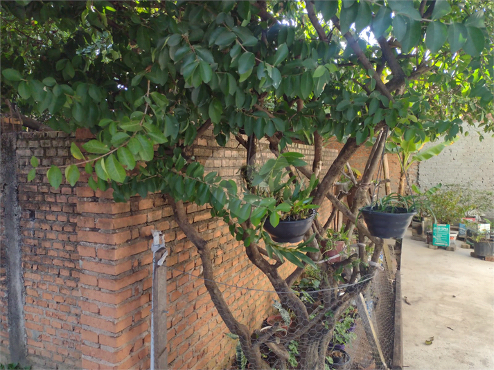 Foto REO1108442