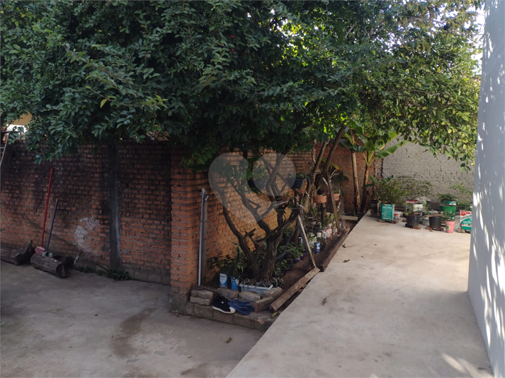 Foto REO1108442