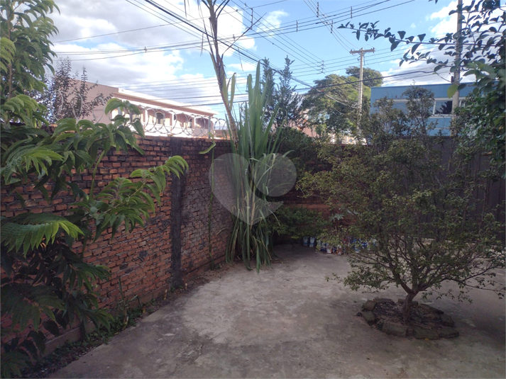 Foto REO1108442