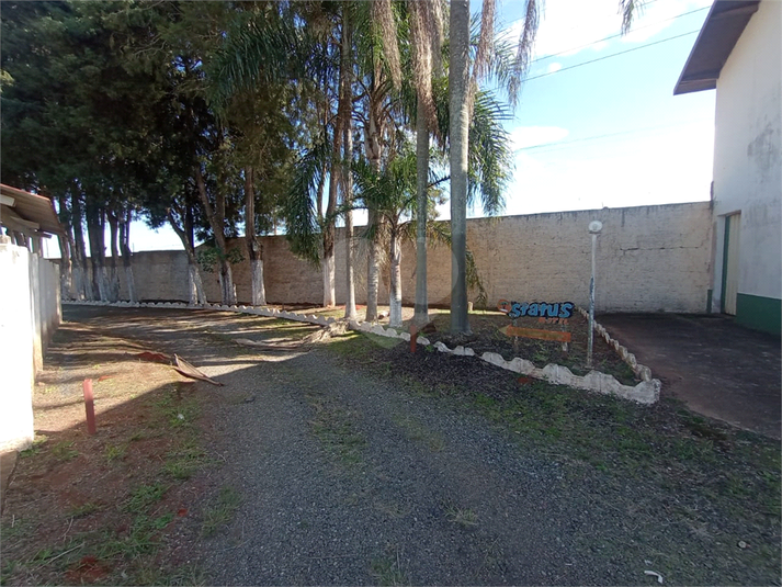Foto REO1108448