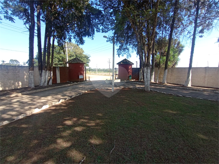 Foto REO1108448