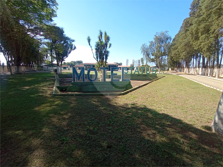 Foto REO1108448