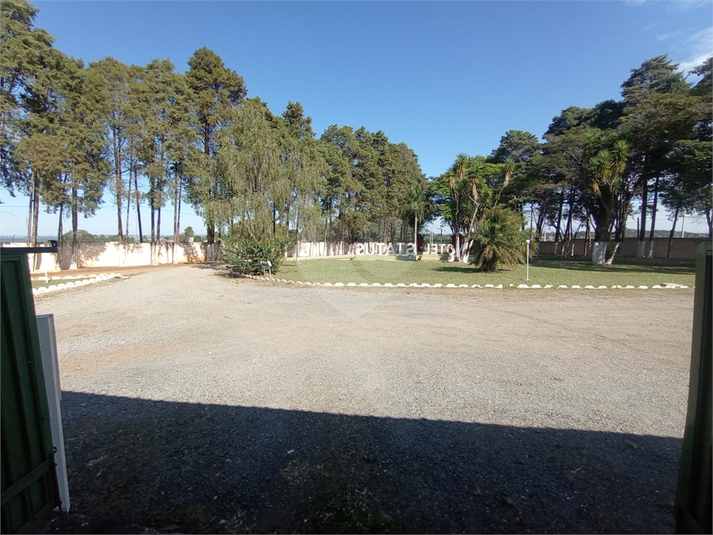 Foto REO1108448