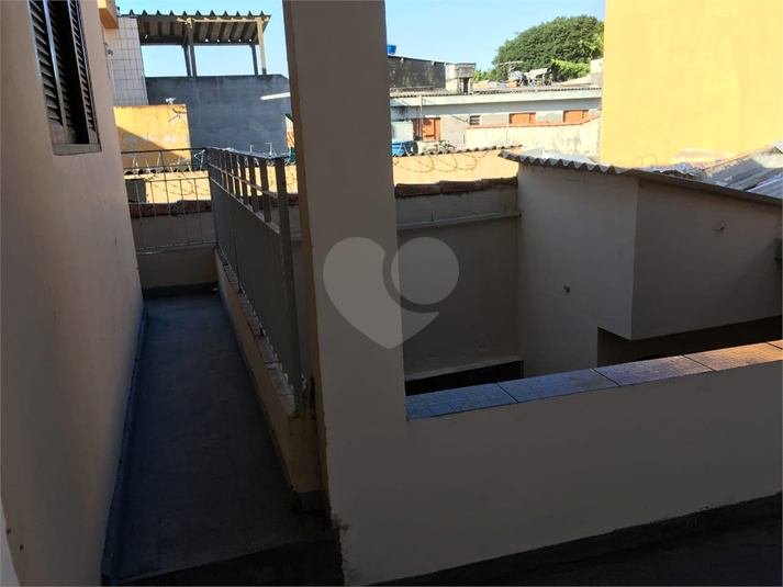 Foto REO1108449