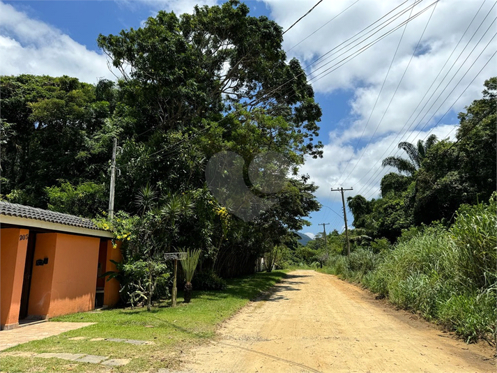 Foto REO1108454